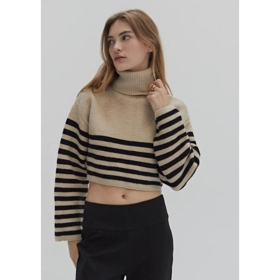 Jazlyn Turtle Neck Sweater